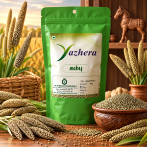 Pearl Millet (கம்பு) – Traditional nutritious millet grains rich in essential nutrients