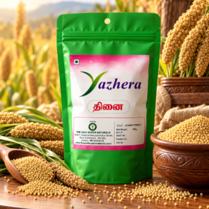 Foxtail Millet (திணை) – Premium traditional millet grains rich in dietary fiber and nutrients